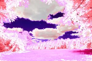 Photo dream interpretation