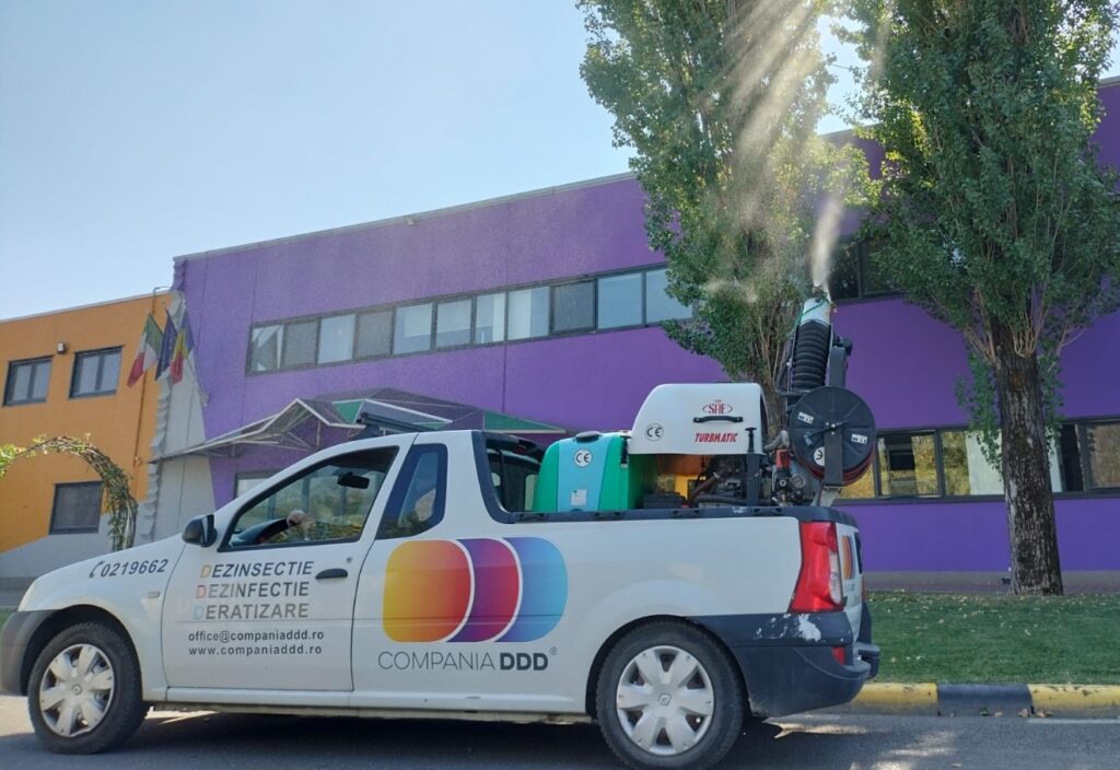 1768645332_696b62d44637e_compania-ddd