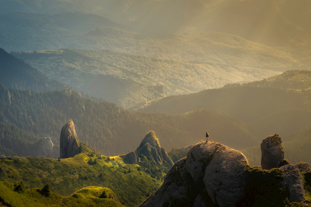 Photo Oltenița Verde