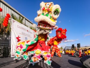 Photo cultural events
