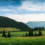 Photo Oltenița Night: Public Lighting and Nighttime Safety