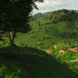Photo Oltениța