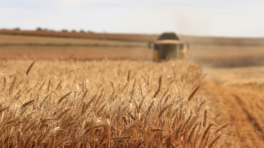 Photo agroalimentare