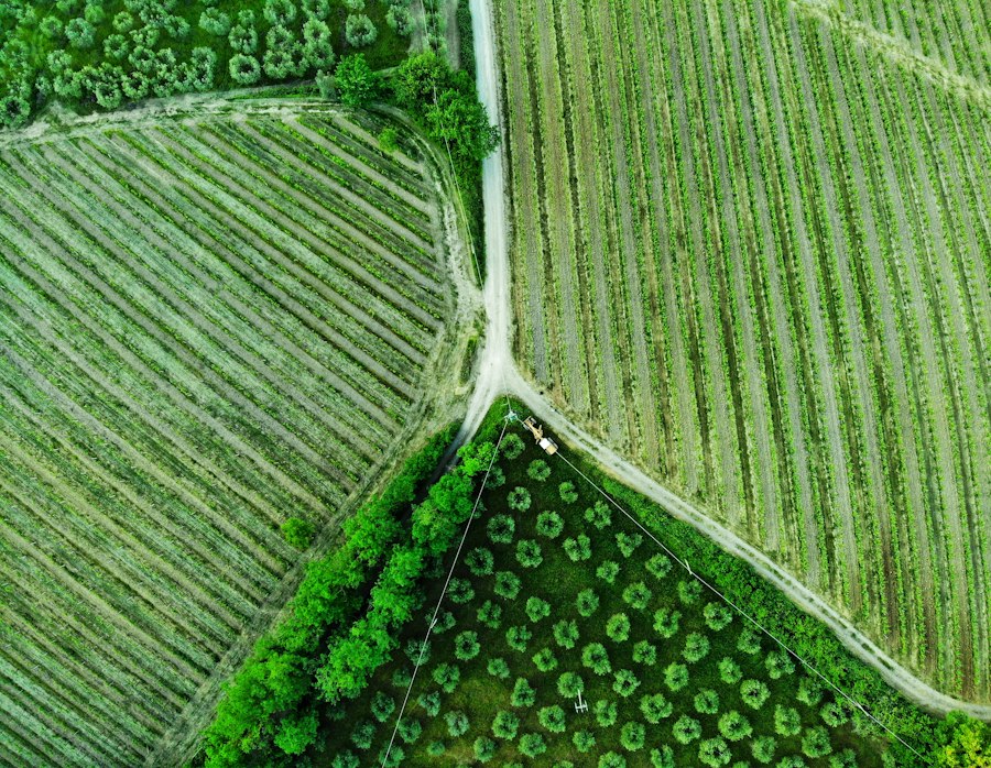 agroalimentare