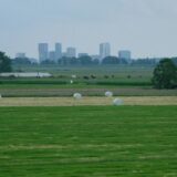 Photo drought impact on wheat and corn crops near city