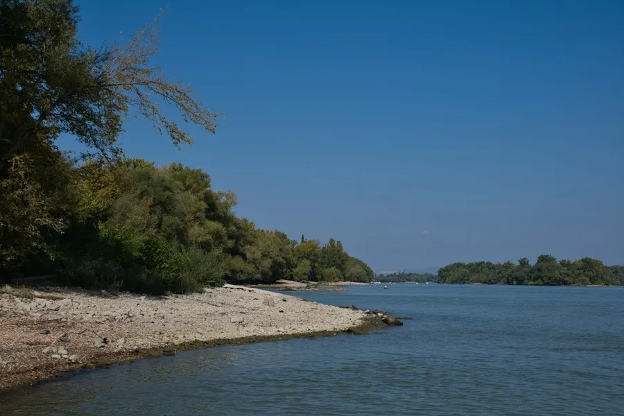 Danube River fishing tips
