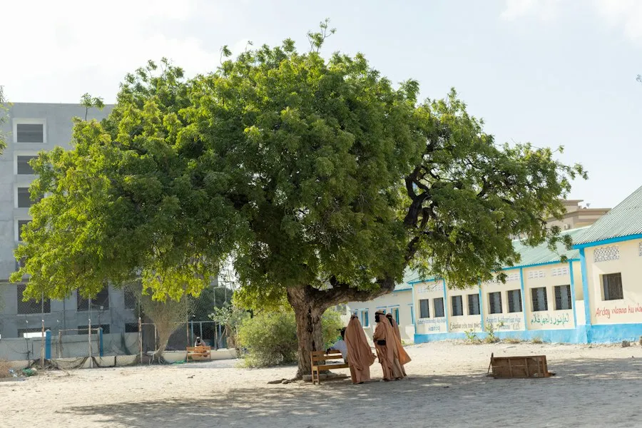Photo local education system
