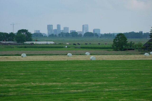 Photo drought impact on wheat and corn crops near city